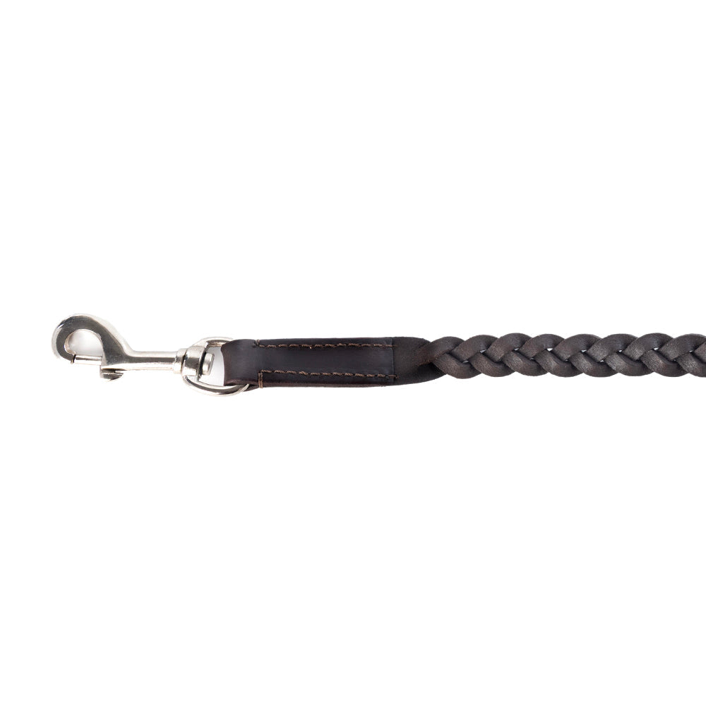 Trailbound Leather Dog Leash in Rustic Brown with Braided Design and Metal Hook